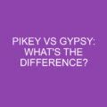 pikies|what is a pikey gypsy.